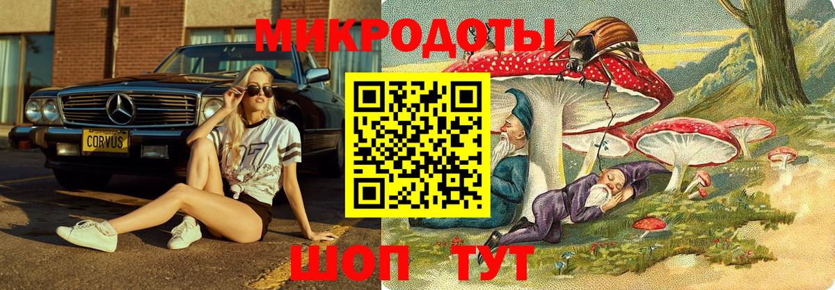Звенигород  Галлюциногенные грибы MAGIC MUSHROOMS  Вход с VPN 
