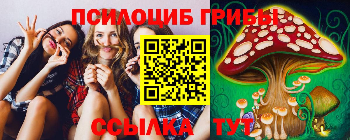 Псилоцибиновые грибы GOLDEN TEACHER Звенигород